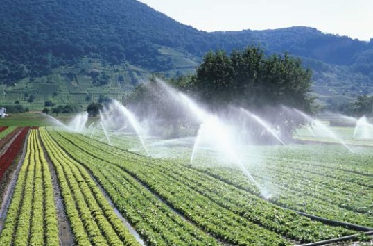 cotidianul agricol, irigatii, tva, agricultura