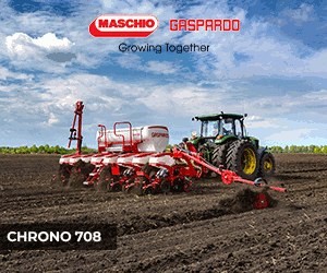 MASCHIO
